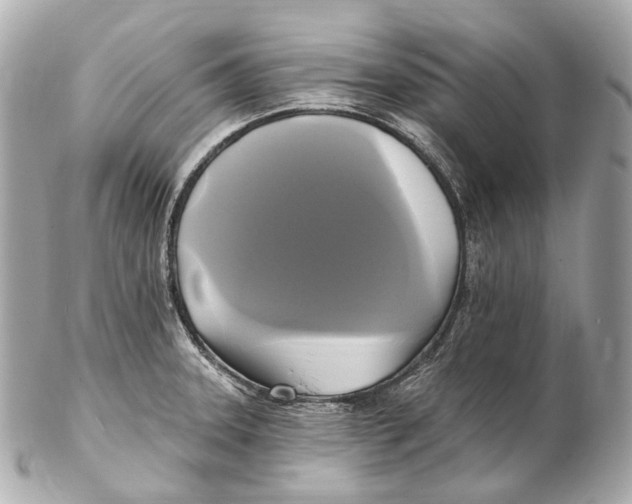 X0000102411331200808291459