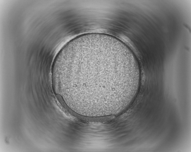 X0000102411332200808291459