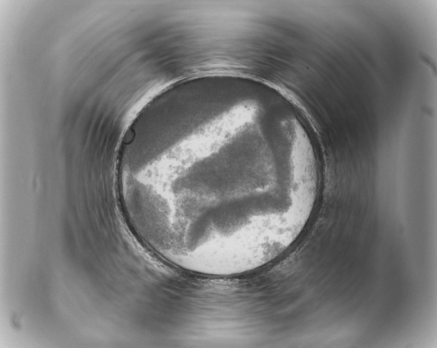 X0000102411333200808291459