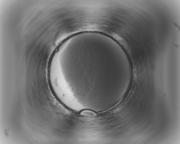 X0000102411334200808291459