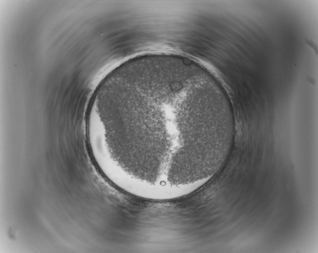 X0000102411335200808291459