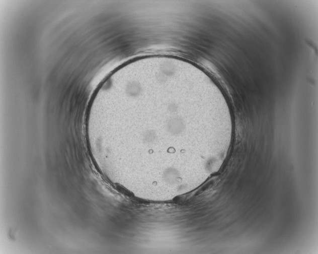 X0000102411336200808291459