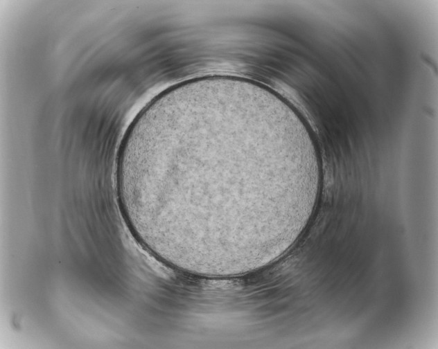 X0000102411339200808291459