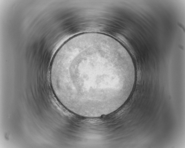 X0000102411340200808291459