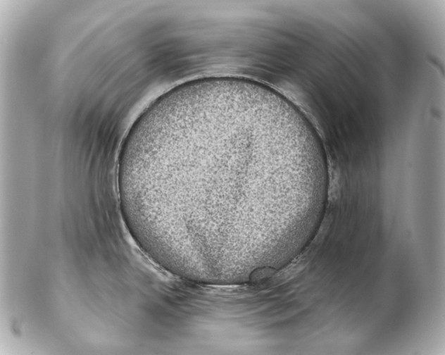 X0000102411342200808291459