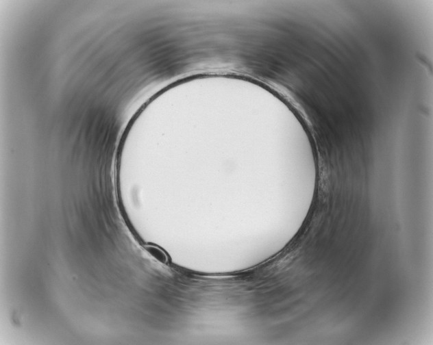 X0000102411343200808291459