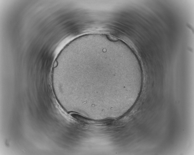 X0000102411344200808291459