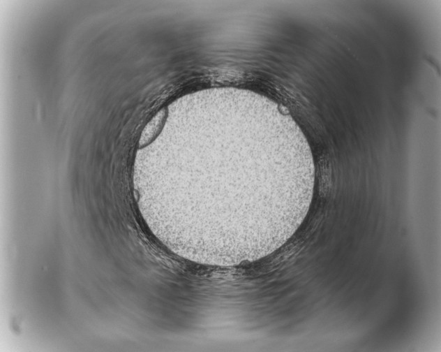 X0000102411345200808291458