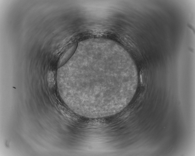 X0000102411347200808291458