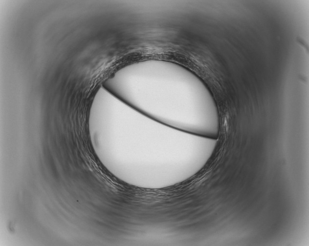 X0000102411348200808291458