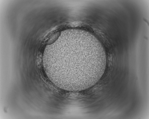 X0000102411349200808291458