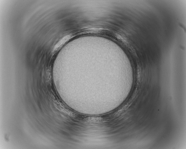 X0000102411354200808291458