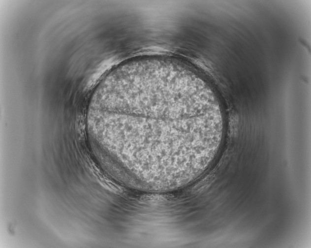 X0000102411355200808291458