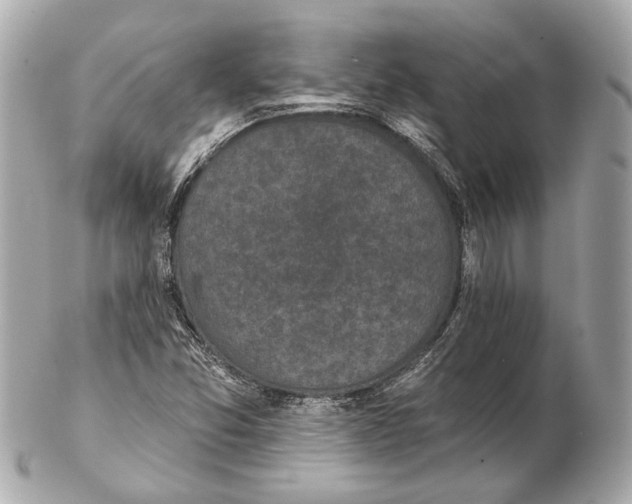 X0000102411357200808291458