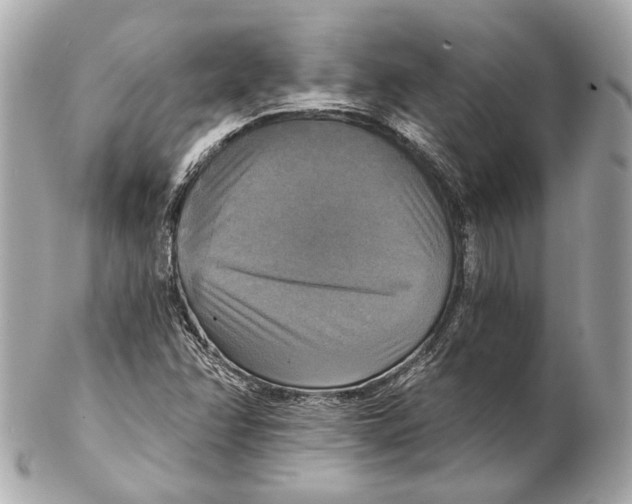 X0000102411358200808291458