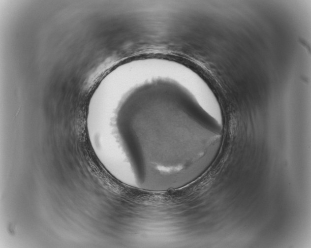 X0000102411359200808291458