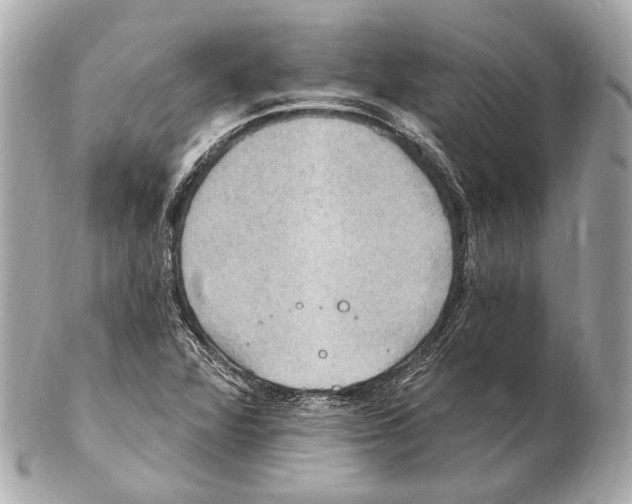 X0000102411360200808291458