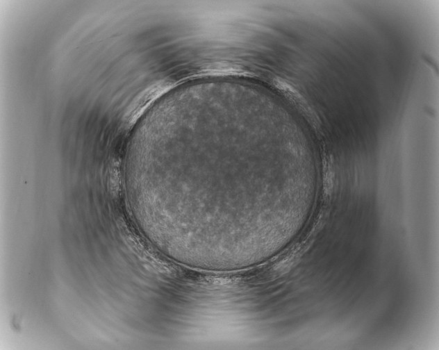 X0000102411361200808291458