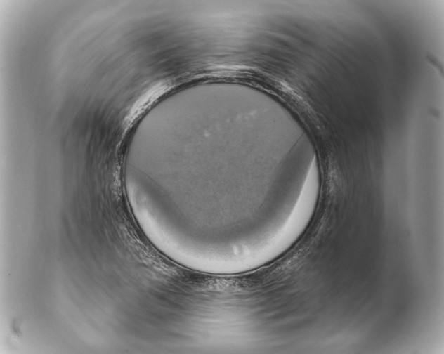 X0000102411362200808291458