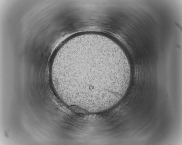 X0000102411364200808291458