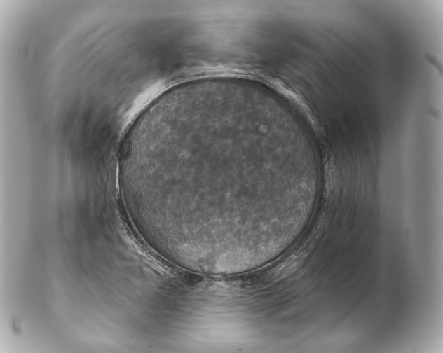 X0000102411365200808291458