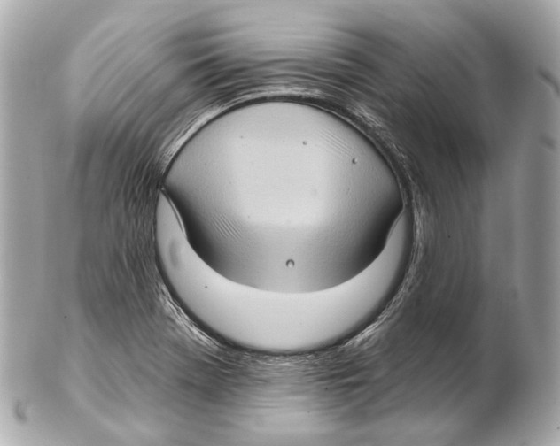 X0000102411369200808291458