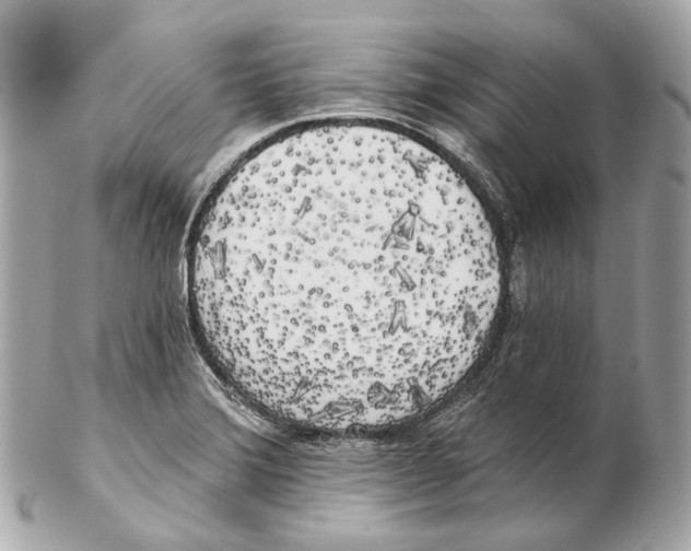 X0000102411372200808291458