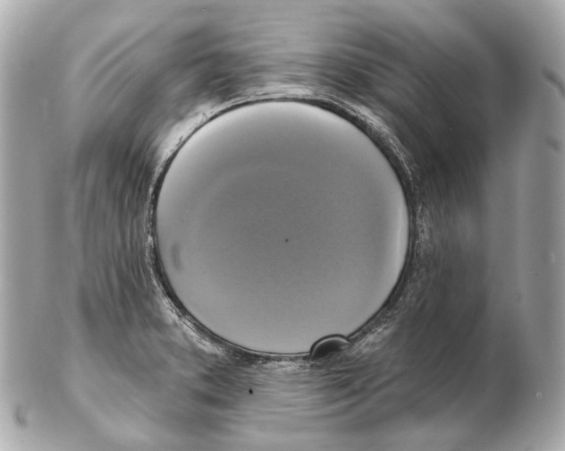 X0000102411373200808291458