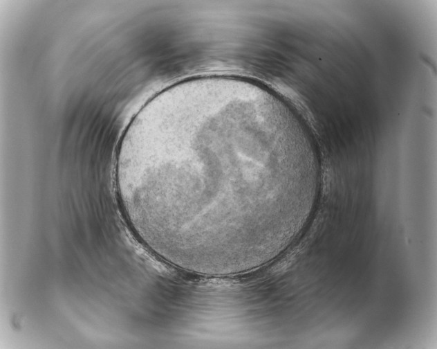 X0000102411374200808291458