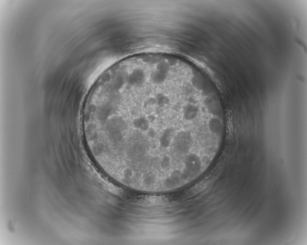 X0000102411375200808291458