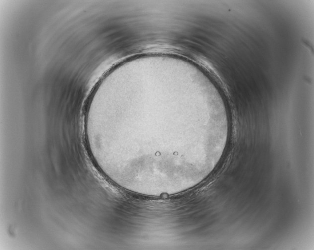 X0000102411376200808291458