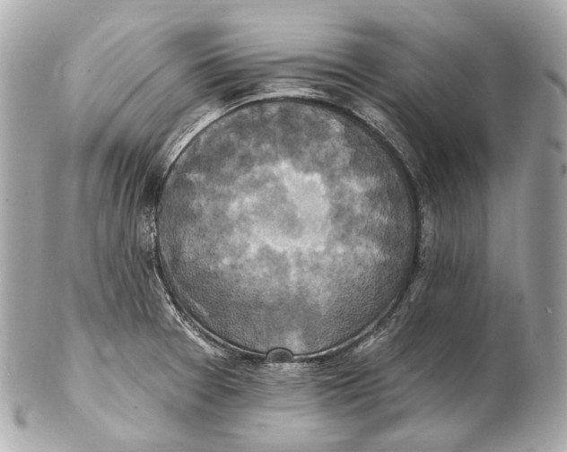 X0000102411377200808291458