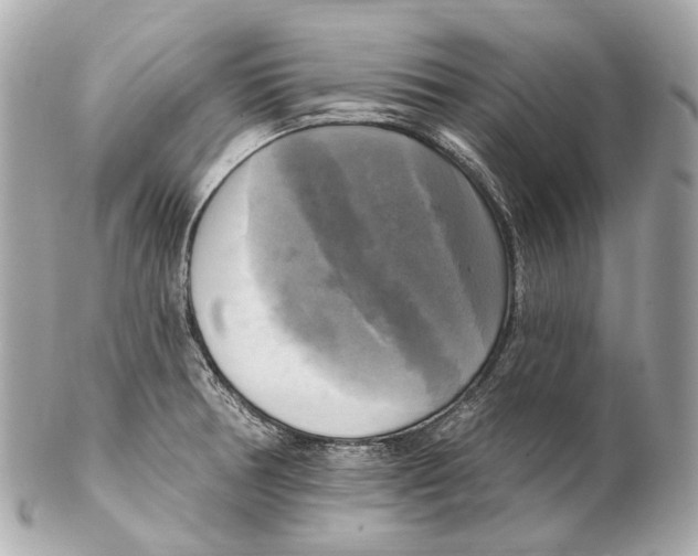 X0000102411378200808291458