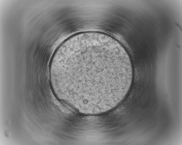 X0000102411380200808291458