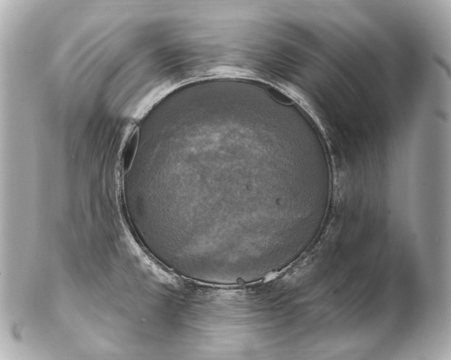 X0000102411381200808291458