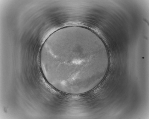 X0000102411382200808291458