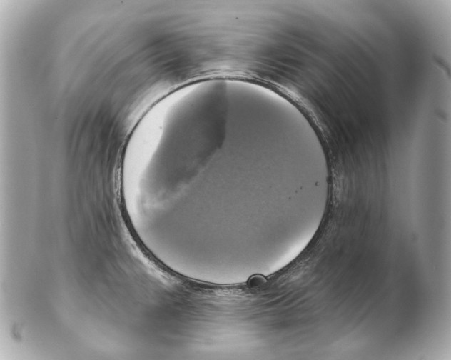 X0000102411383200808291458