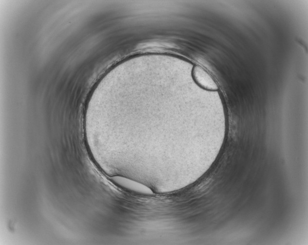 X0000102411384200808291458