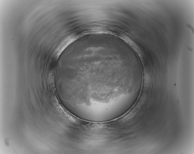 X0000102411385200808291458