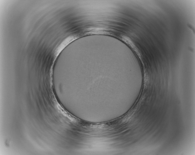 X0000102411386200808291458