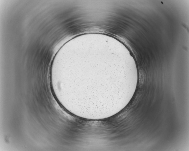 X0000102411387200808291458