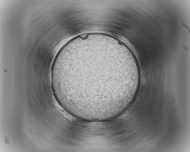 X0000102411388200808291458