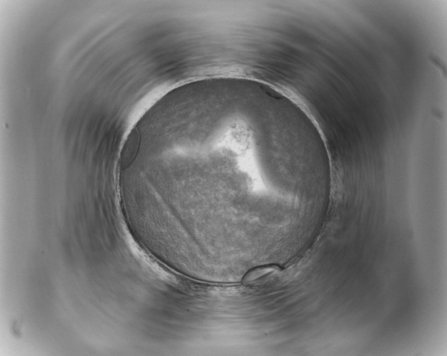 X0000102411389200808291458