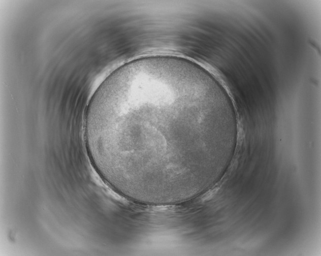 X0000102411390200808291457