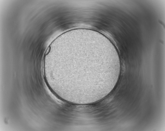 X0000102411391200808291457