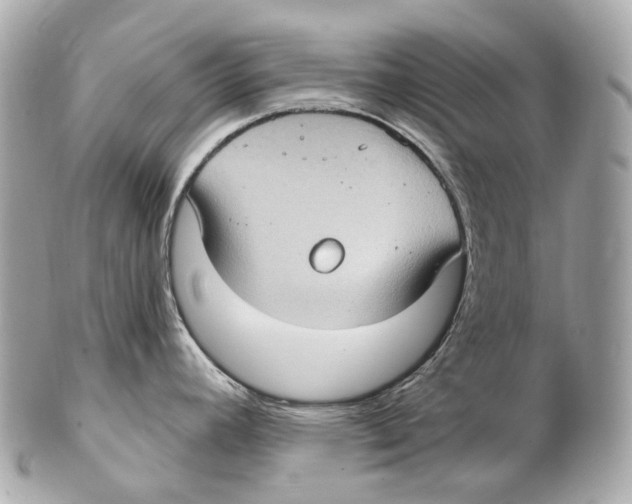 X0000102411392200808291457