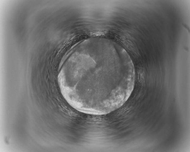 X0000102411393200808291457