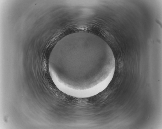 X0000102411394200808291457