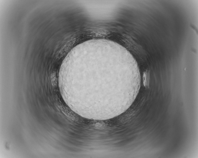 X0000102411395200808291457