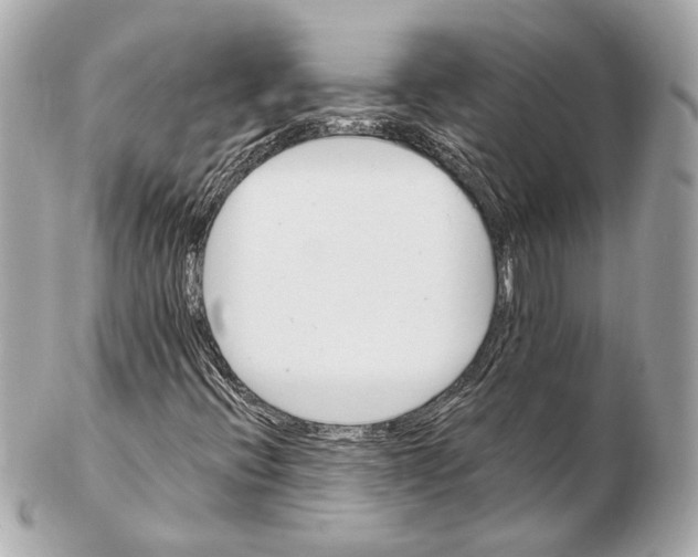 X0000102411396200808291457